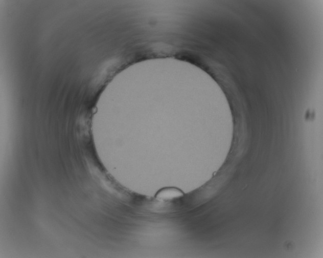 X0000113070768200910091208