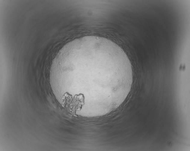 X0000113070769200910091207
