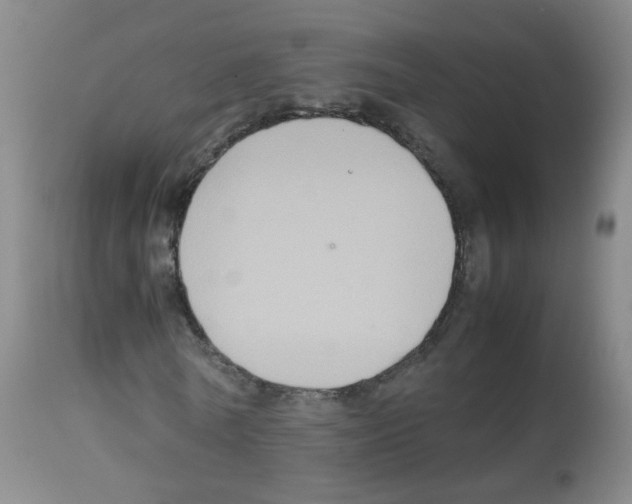 X0000113070770200910091207
