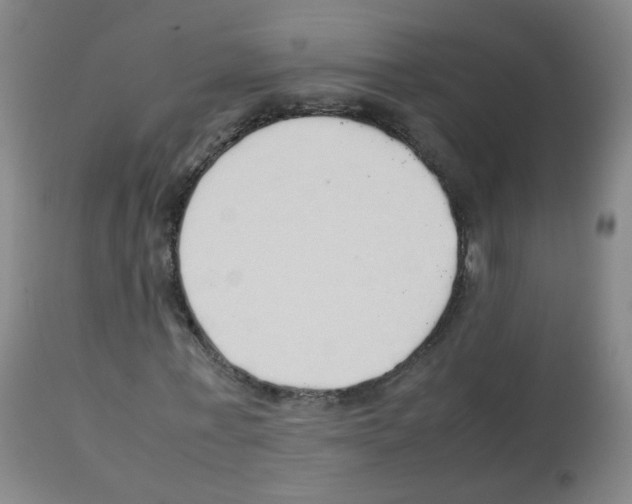X0000113070771200910091207