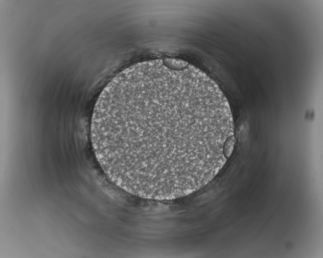 X0000113070772200910091207