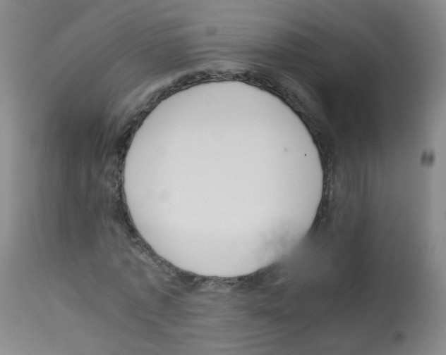 X0000113070773200910091207