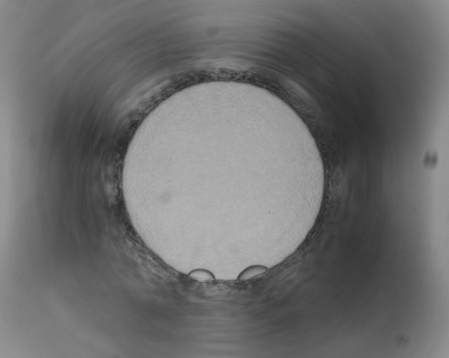 X0000113070774200910091207