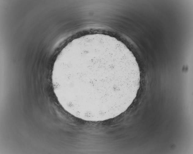X0000113070775200910091207