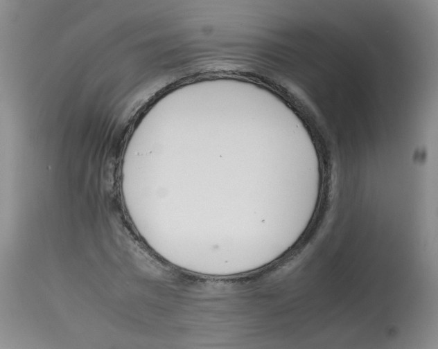 X0000113070777200910091207