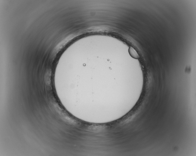 X0000113070778200910091207