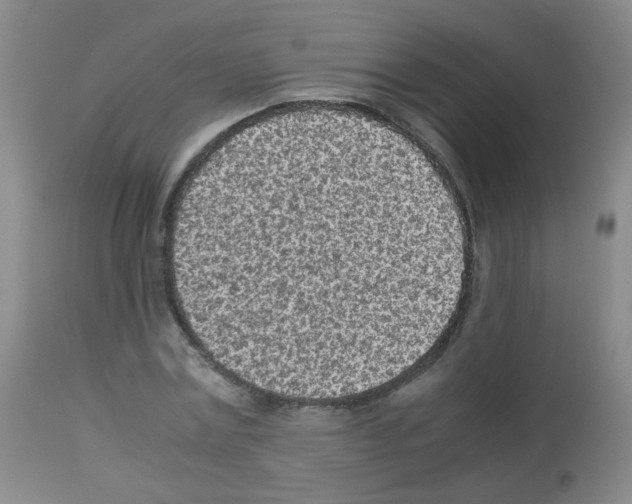 X0000113070779200910091207