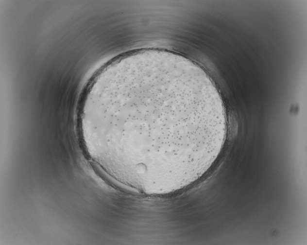X0000113070780200910091207