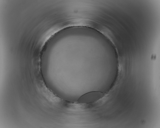 X0000113070781200910091207