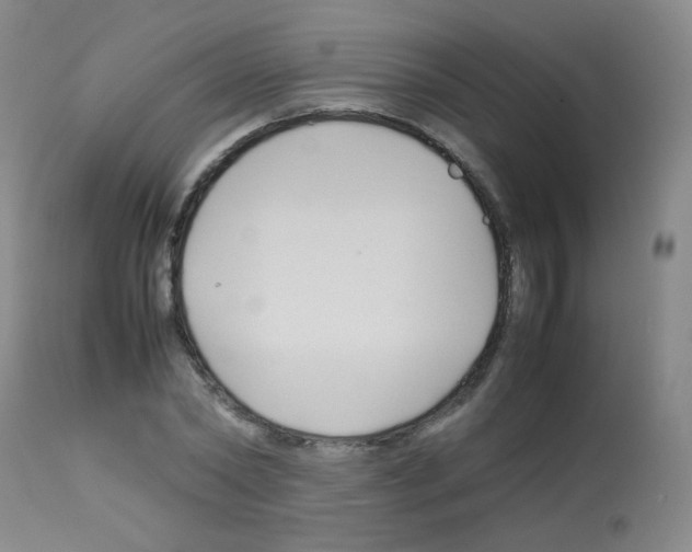 X0000113070782200910091207