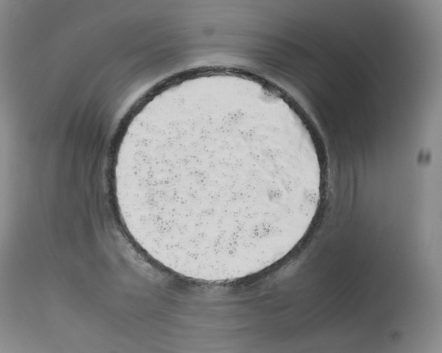 X0000113070783200910091207