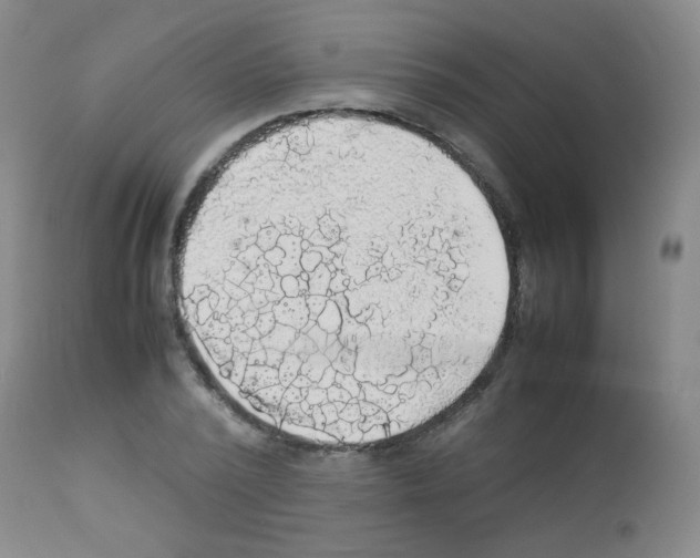 X0000113070784200910091207