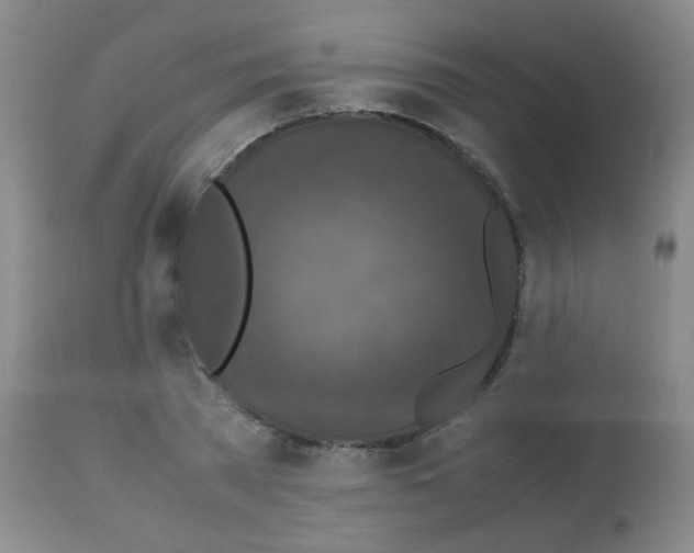 X0000113070785200910091207