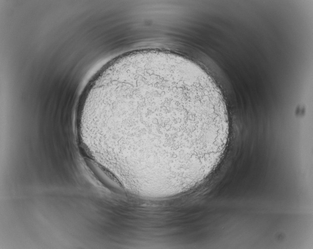 X0000113070788200910091207