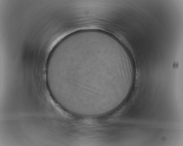 X0000113070789200910091207
