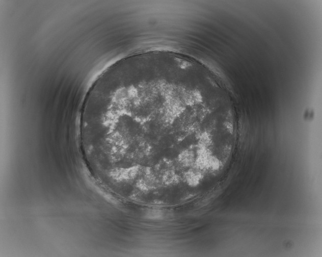 X0000113070790200910091207