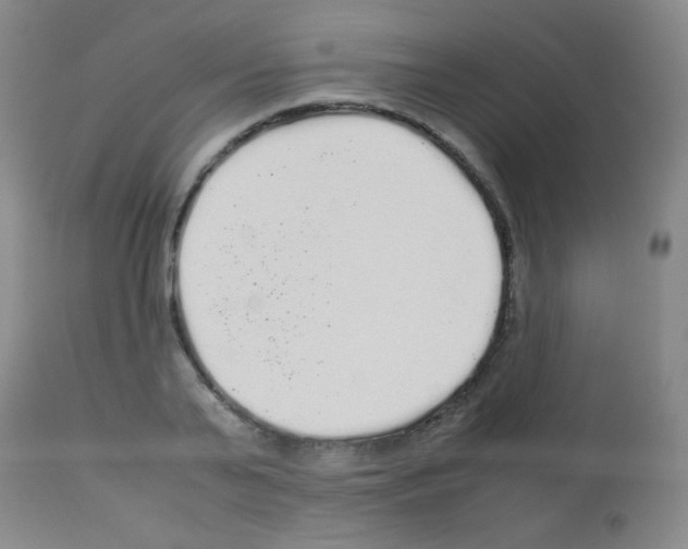 X0000113070791200910091207