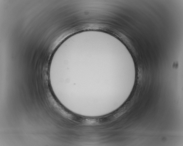 X0000113070794200910091207