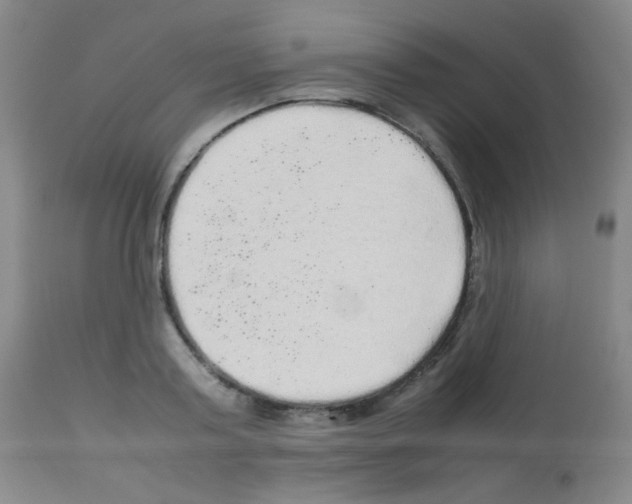 X0000113070795200910091207