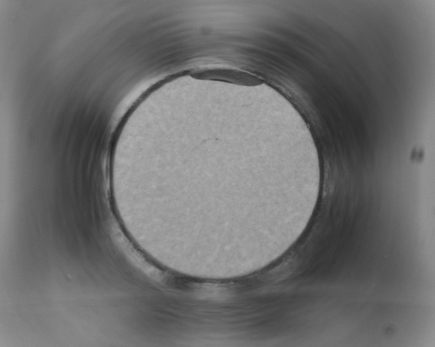 X0000113070796200910091207