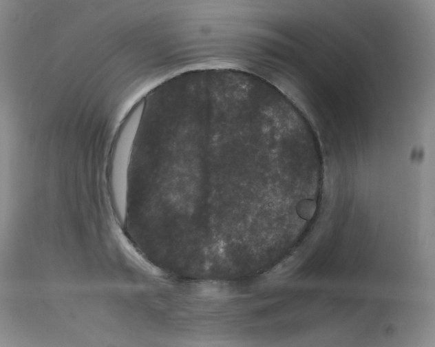 X0000113070797200910091207