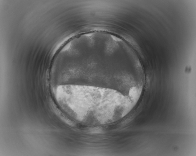 X0000113070798200910091206