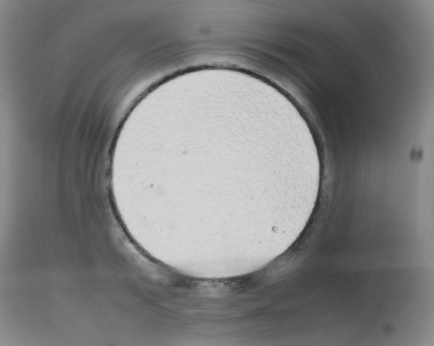 X0000113070799200910091206