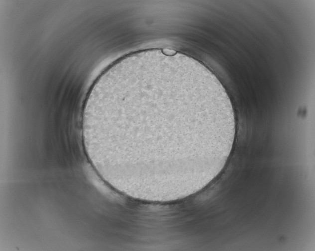 X0000113070800200910091206