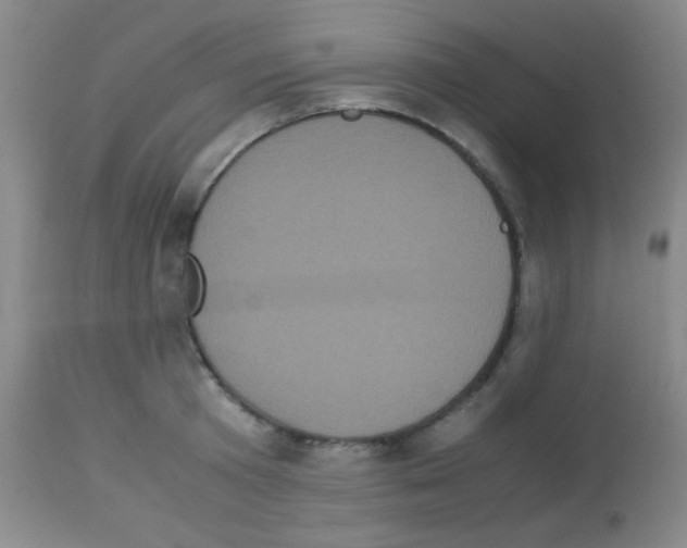 X0000113070801200910091206