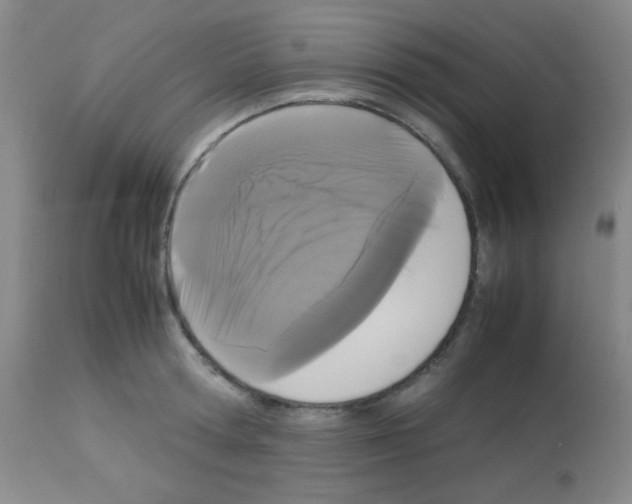 X0000113070802200910091206