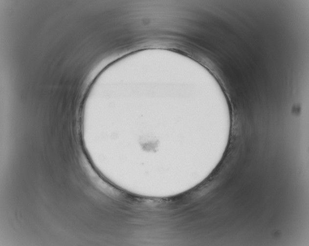 X0000113070803200910091206