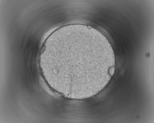 X0000113070804200910091206