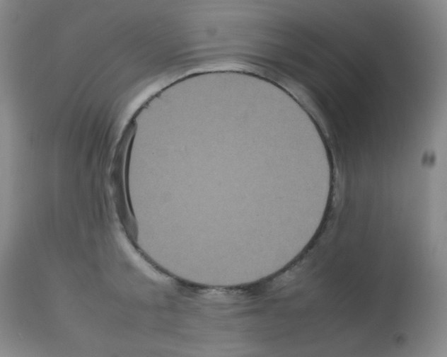 X0000113070805200910091206