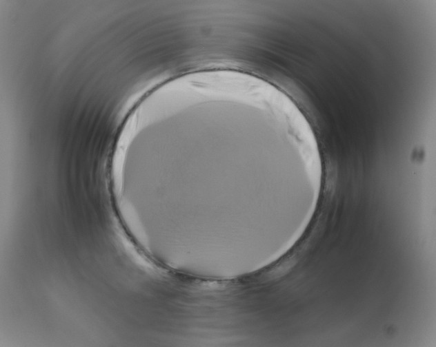 X0000113070806200910091206