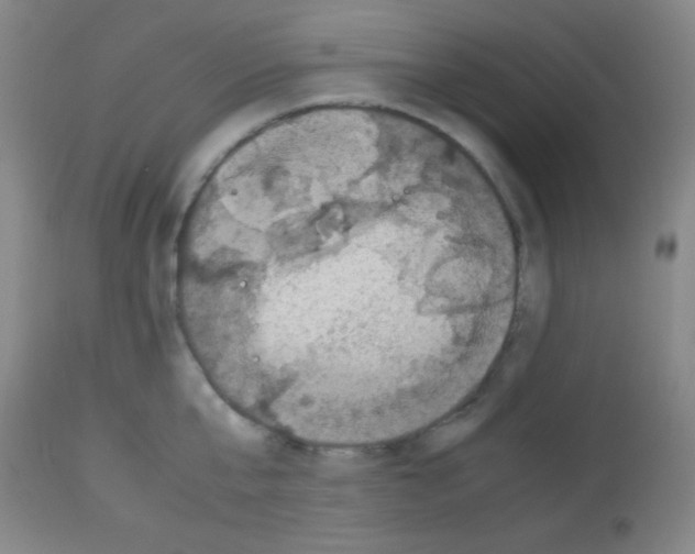 X0000113070807200910091206