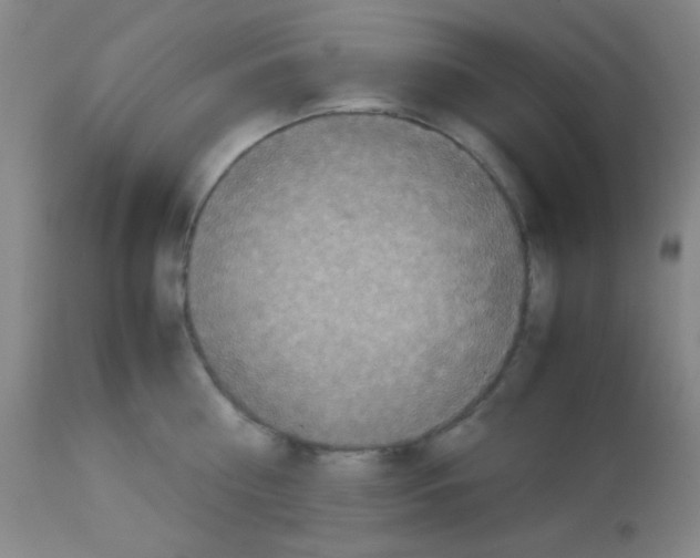 X0000113070810200910091206