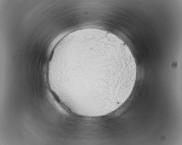 X0000113070812200910091206