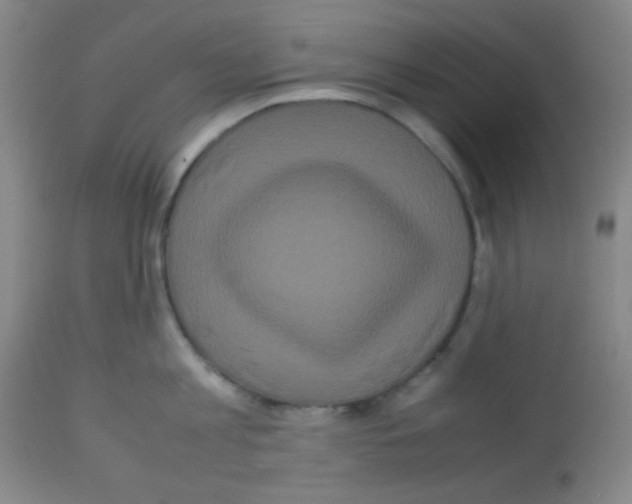 X0000113070813200910091206