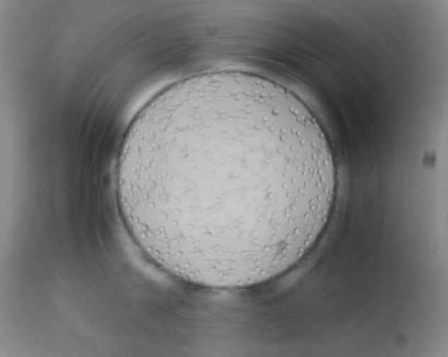 X0000113070814200910091206