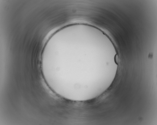 X0000113070815200910091206