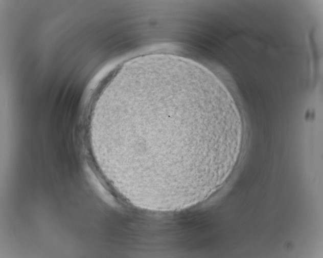 X0000113070816200910091206