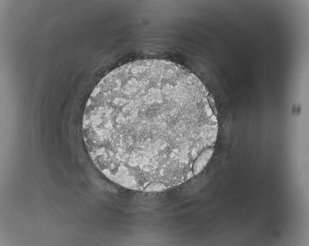 X0000113070817200910091206