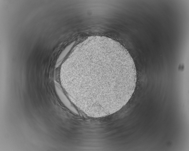 X0000113070818200910091206