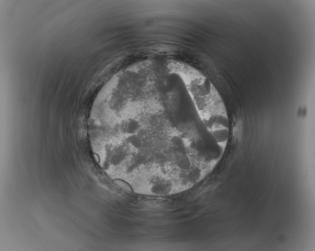 X0000113070819200910091206