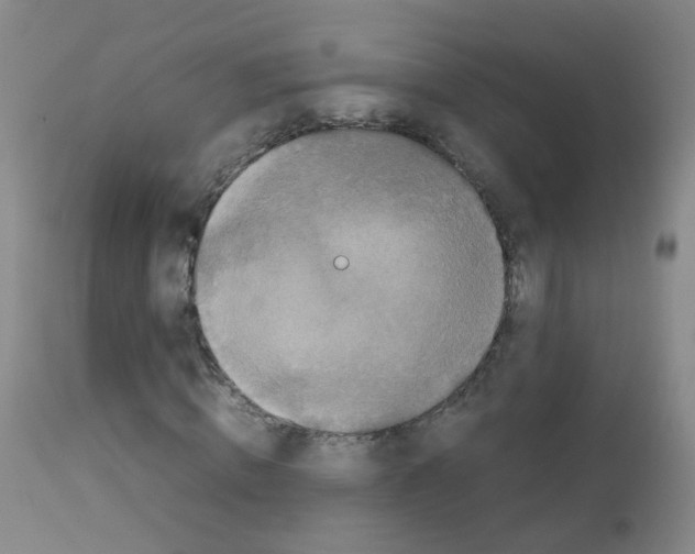 X0000113070820200910091206