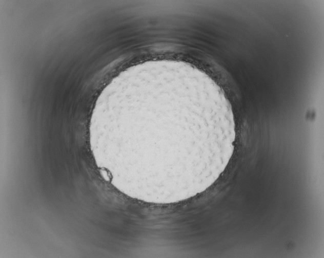 X0000113070821200910091206