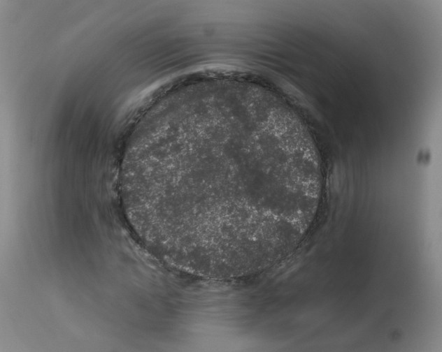 X0000113070822200910091206