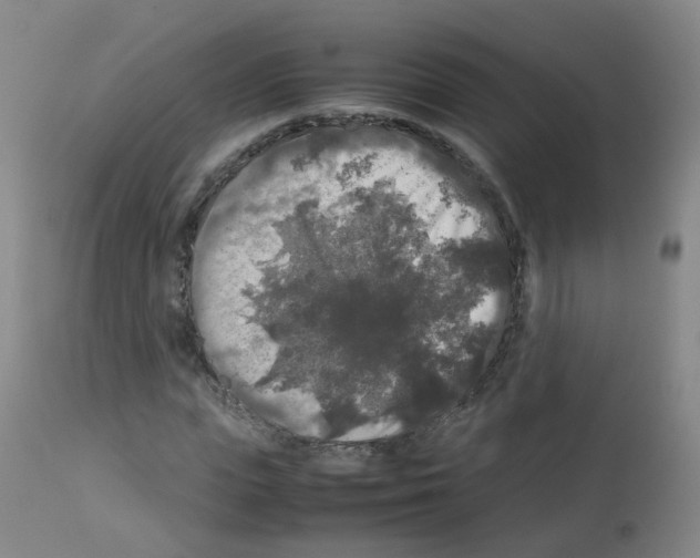 X0000113070823200910091206