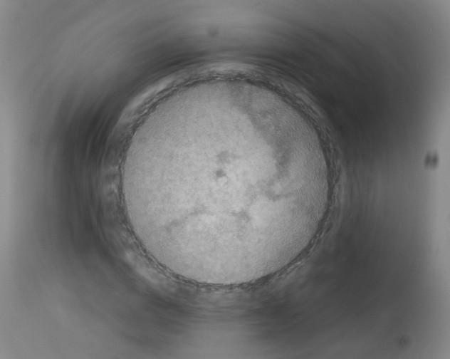 X0000113070824200910091206