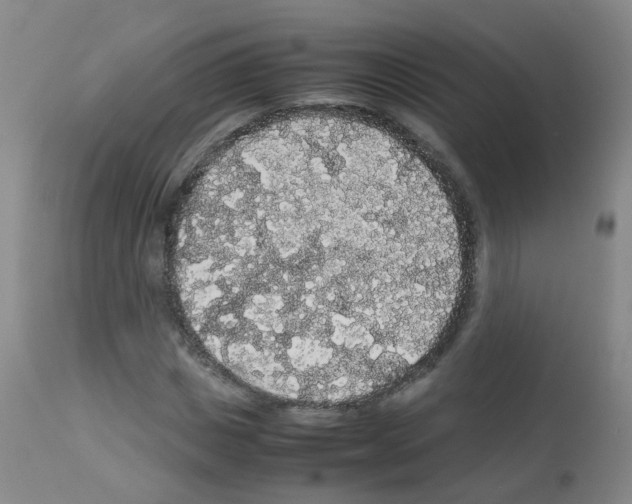 X0000113070825200910091206